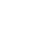 icon manage